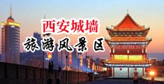 www.干艹中国陕西-西安城墙旅游风景区